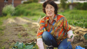 Longevity Lessons: Unveiling the Secrets of Japan's Village of Ogimi