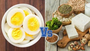 Vegetarian Powerhouses: 20 Plant-Based Protein Sources That Surpass an Egg