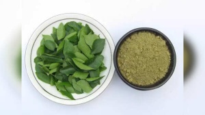5 Oil Infusions for Rapid Hair Growth: Curry Leaf, Fenugreek, Onion & More