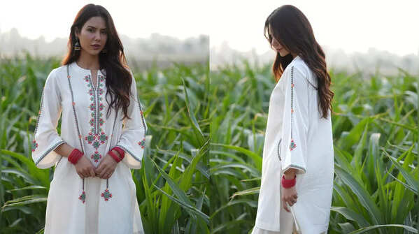 Sonam Bajwa embracing desi glamour effortlessly