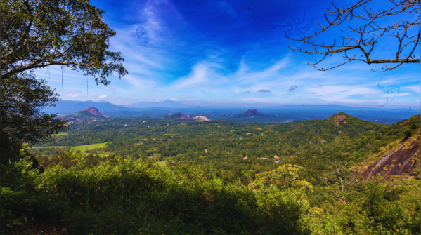 The scenic Lakkidi Gateway in Wayanad.