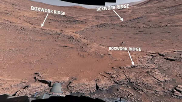 Curiosity rover explores boxwork formations on Mount Sharp