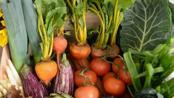 Variety of fresh, colorful vegan food