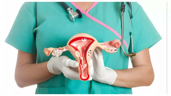 Illustration of the female reproductive system