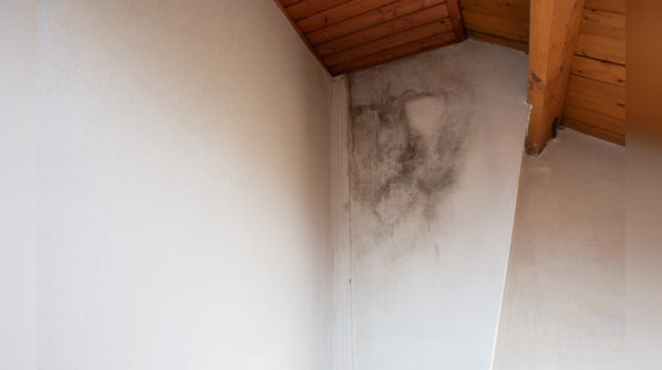 Mold growth in a damp bedroom.