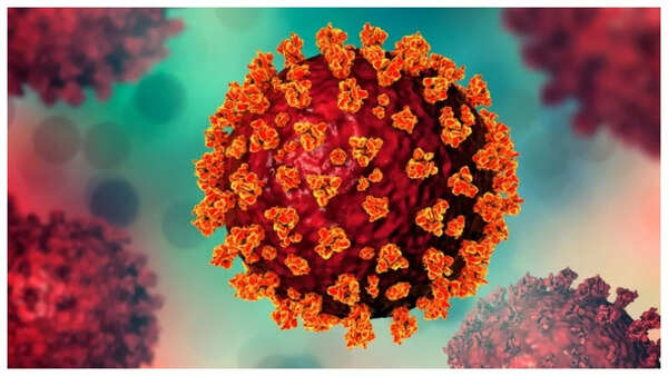 Close-up of a scientist working on the dengue vaccine