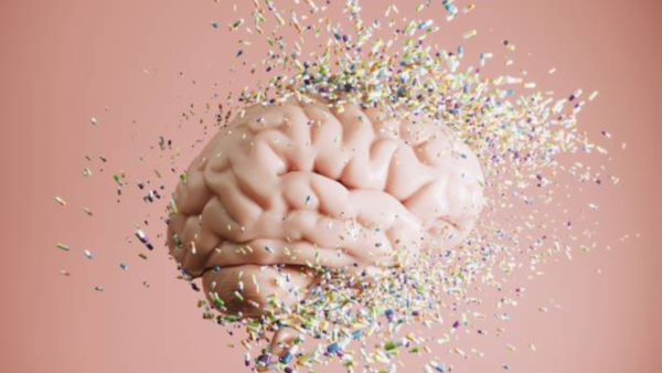 Illustration of a human brain