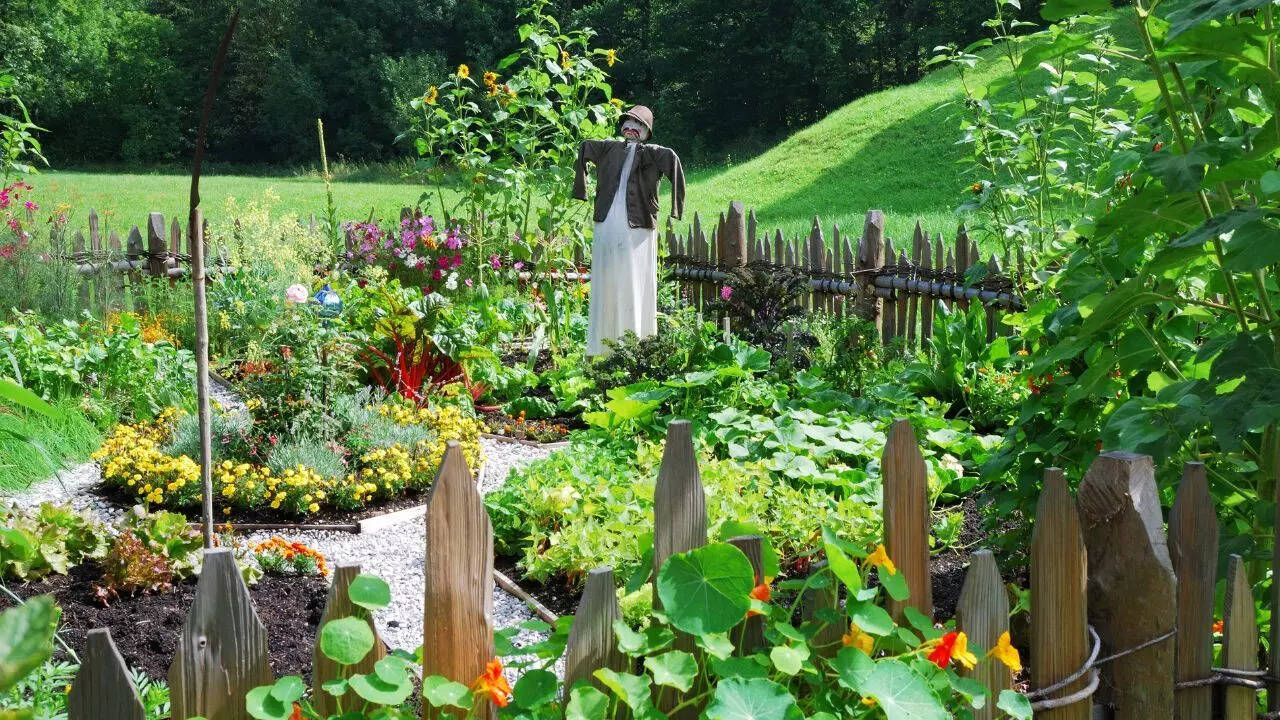 Monsoon Gardening: Unlock a Bountiful Harvest This Rainy Season