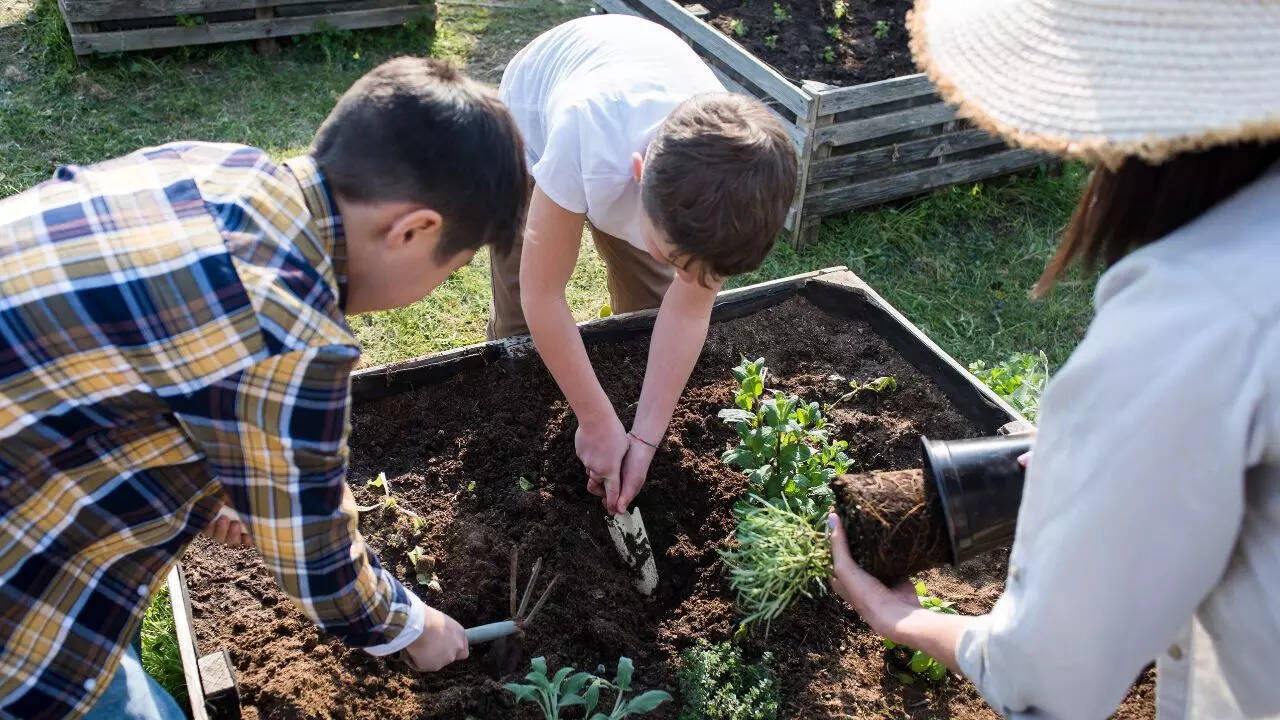 Preparing soil for monsoon planting