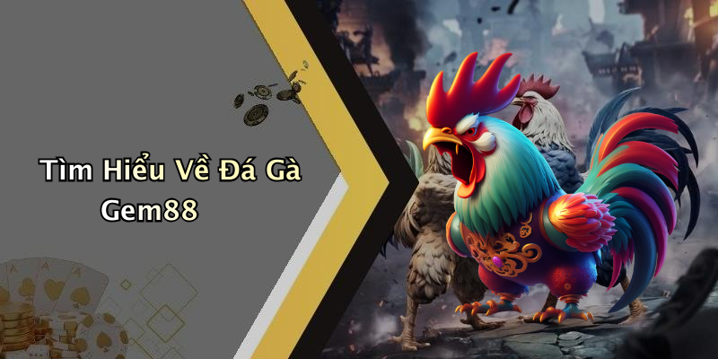 Tìm Hiểu Về Đá Gà Gem88