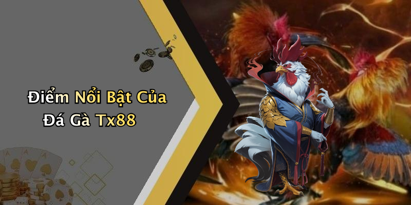 Điểm Nổi Bật Của Đá Gà Tx88