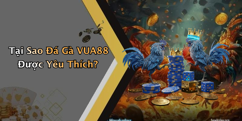 Tại Sao Đá Gà VUA88 Được Yêu Thích?