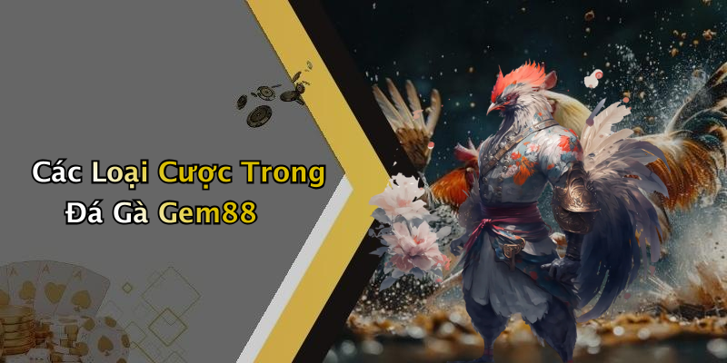 Các Loại Cược Trong Đá Gà Gem88