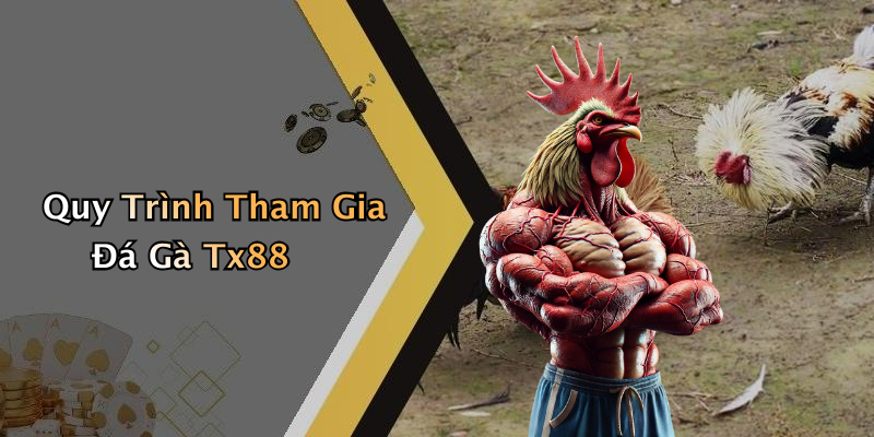 Quy Trình Tham Gia Đá Gà Tx88