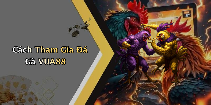 Cách Tham Gia Đá Gà VUA88