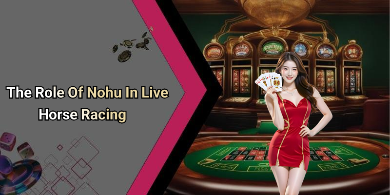 The Role Of Nohu In Live Horse Racing