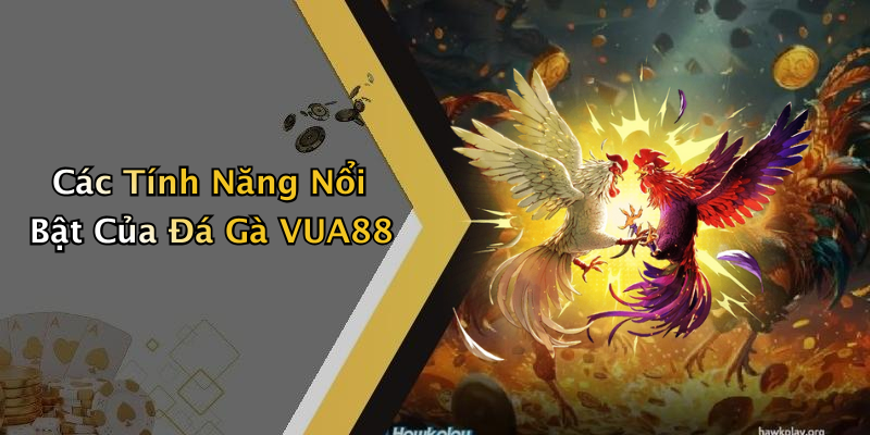 Các Tính Năng Nổi Bật Của Đá Gà VUA88