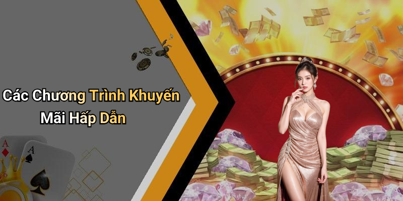 Các Chương Trình Khuyến Mãi Hấp Dẫn